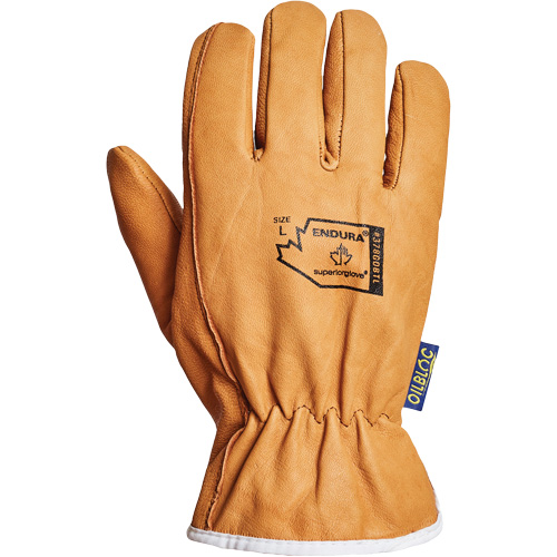 Gants de conducteur Endura, Petit, Paume en Cuir fleur de ch&egrave;vre, Thinsulate Action Paper