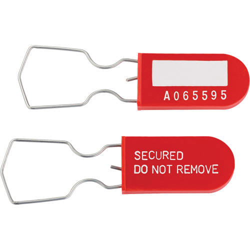 Dynamic Safety Equipment Inspection Tags, Plastic, 1" W x 2-1/4" H, English Action Paper