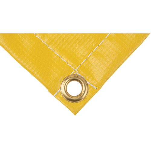 Roof Leak Diverter Action Paper