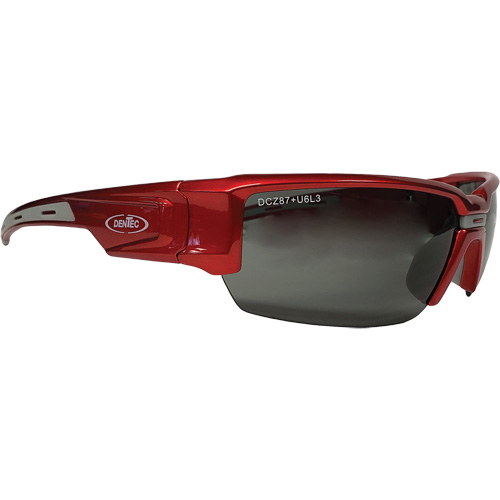 Hartley Safety Glasses, Grey Lens, Polarized, Meets/Exceeds CSA Z94.3 Action Paper