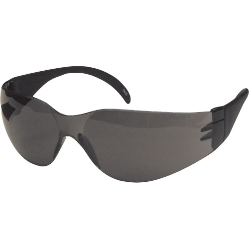 CeeTec Safety Glasses, Grey Lens, Anti-Scratch, Meets/Exceeds CSA Z94.3 Action Paper
