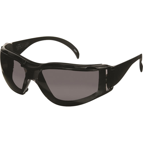 CeeTec DX Safety Glasses, Grey Lens, Anti-Fog/Anti-Scratch, Meets/Exceeds CSA Z94.3 Action Paper