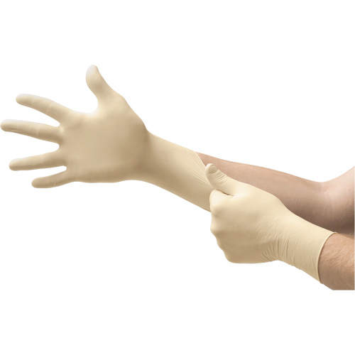 MICROFLEX&reg; Ultra One&reg; Examination Gloves, 10/9.5/X-Large, Latex, 9.8-mil, Powder-Free, Natural, Class 2 Action Paper