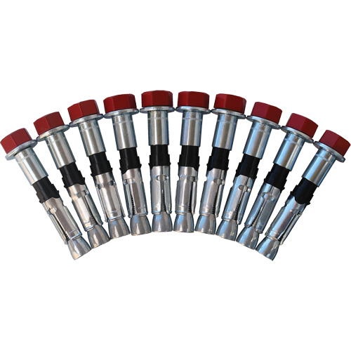 Replacement Bolt Kit for Concrete D-Ring Anchors, Bolt-On, Permanent/Temporary Use Action Paper