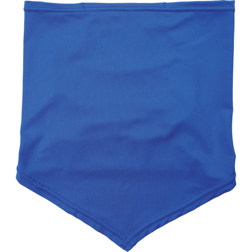 Chill-Its 6483 Cooling Neck Gaiter Bandana with Pocket, Blue Action Paper