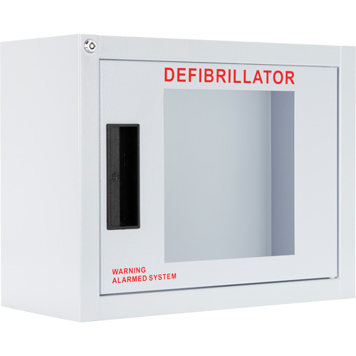 Armoire compacte standard pour DEA avec alarme, Philips/Defibtech/Heartsine Pour, Non m&eacute;dical Action Paper