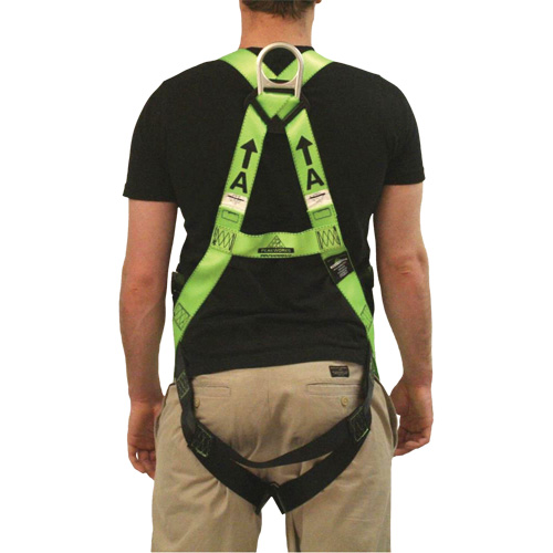 FBH-10000L Contractor Series Safety Harness, CSA Certified, Class AL, 400 lbs. Cap. Action Paper