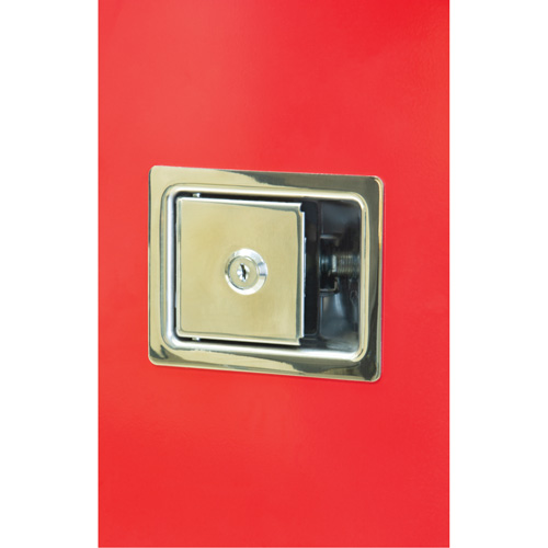 Heavy-Duty Outdoor Fire Extinguisher Cabinet, 14" W x 28" H x 10" D Action Paper