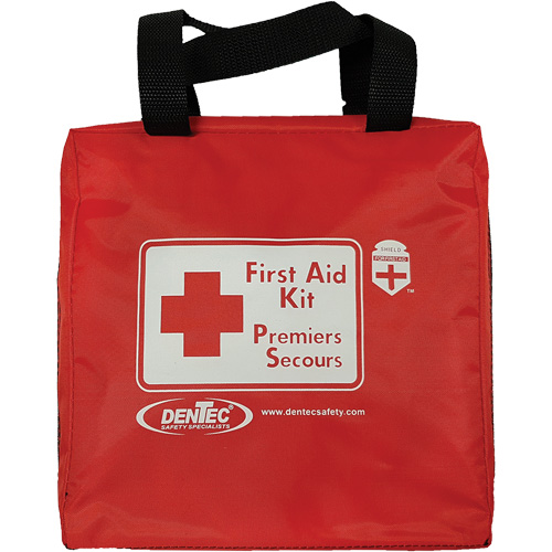 Shield First Aid Kit, Meets/Exceeds CSA Z1220-24 Type 2 Low-Risk Environment, Large (51-100 Workers) Action Paper