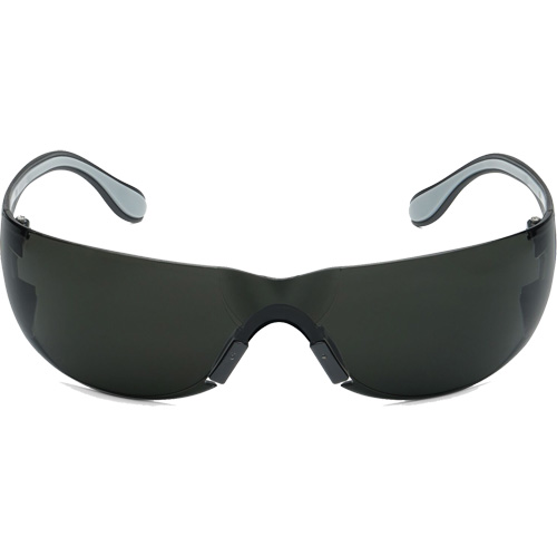 Adapt Lite Safety Glasses, Smoke Lens, Anti-Fog/Anti-Scratch, ANSI Z87+/Meets/Exceeds CSA Z94.3 Action Paper