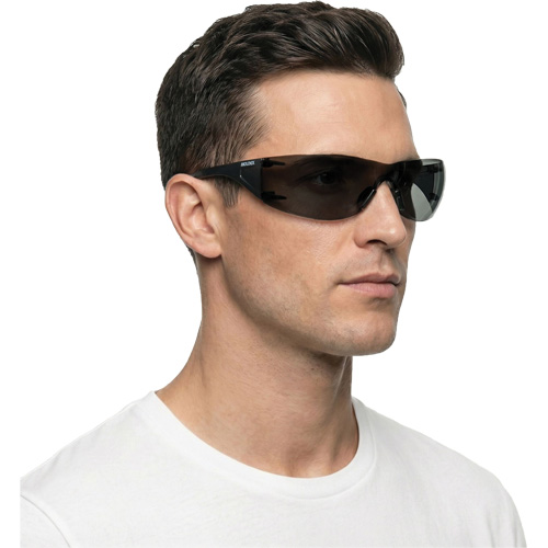 Adapt Lite Safety Glasses, Smoke Lens, Anti-Fog/Anti-Scratch, ANSI Z87+/Meets/Exceeds CSA Z94.3 Action Paper