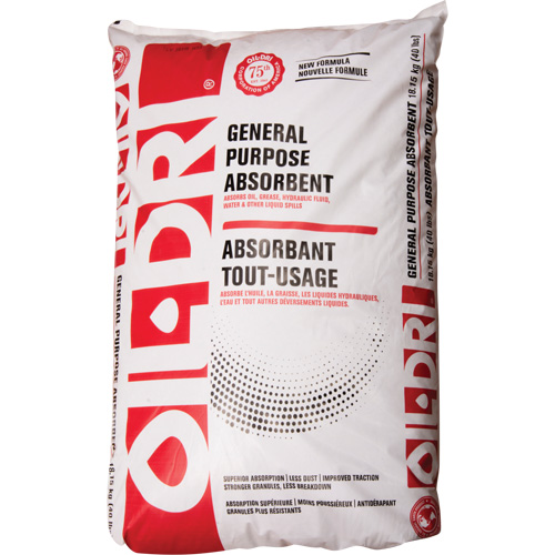 General-Purpose Absorbents Action Paper