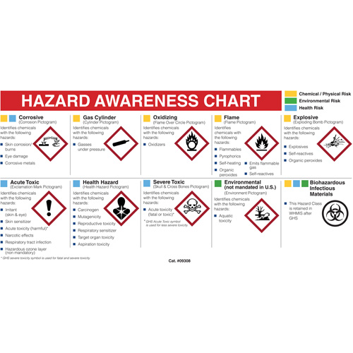 Mini MSDS Chart- English Action Paper