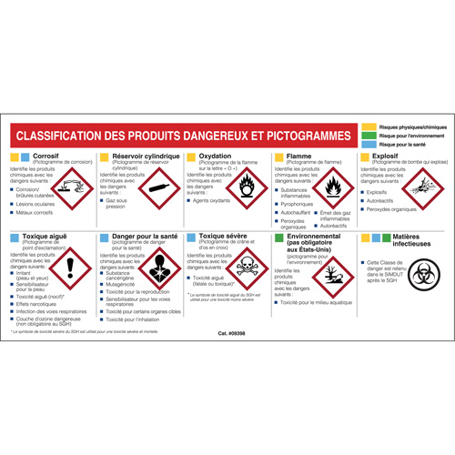 Mini MSDS Chart- French Action Paper
