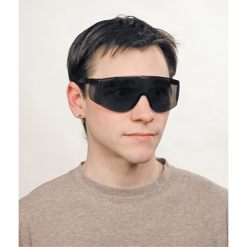 Tacoma&reg; Safety Glasses, Grey/Smoke Lens, Anti-Scratch, ANSI Z87+ Action Paper