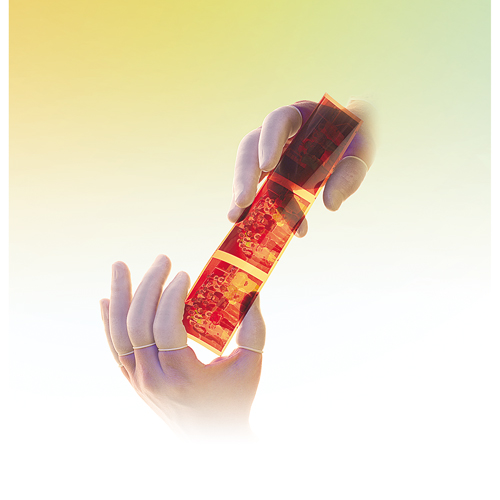 QRP&reg; Powder-Free Qualatex Latex Finger Cots Action Paper