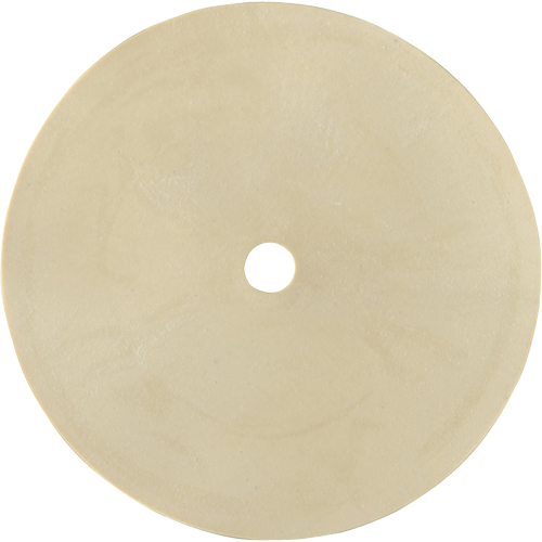 Replacement Inhalation Valves Action Paper