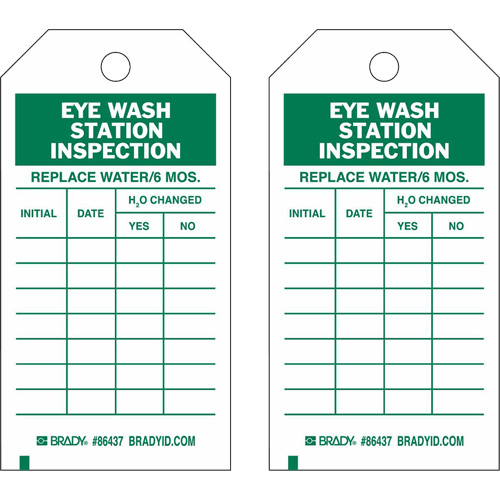 &eacute;tiquettes de rapport d'inspection, Polyester, 4" la x 7" h, Anglais Action Paper
