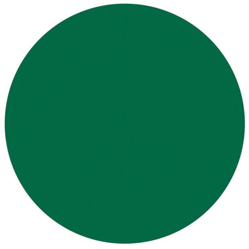 &eacute;tiquettes rondes inscriptibles, Cercle, 3" lo x 3" la, Vert Action Paper