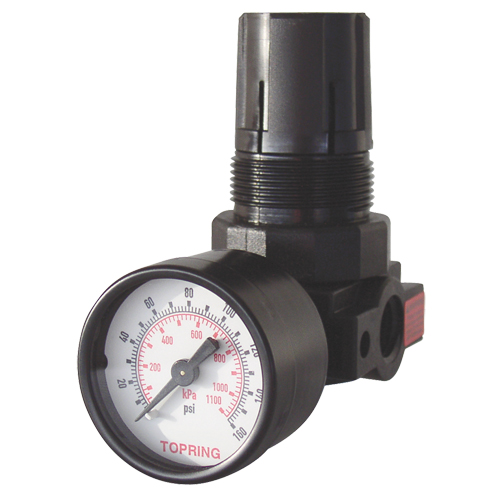 Mini Regulators, 1/4" NPT, 165 PSI Max. PSI, Modular Action Paper