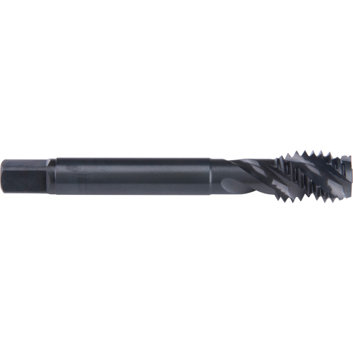 45° Spiral Flute Tap, High Speed Cobalt, 10-32 Thread, 2-3/8" L Action Paper