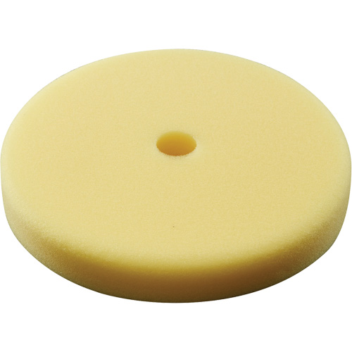 Polishing Pad, 7" Dia. Action Paper