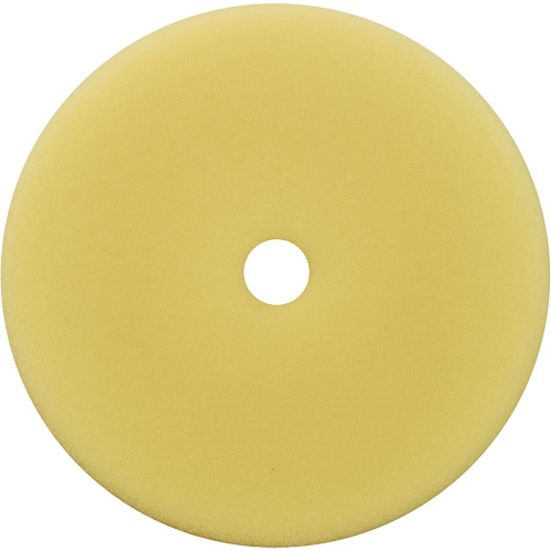 Polishing Pad, 7" Dia. Action Paper