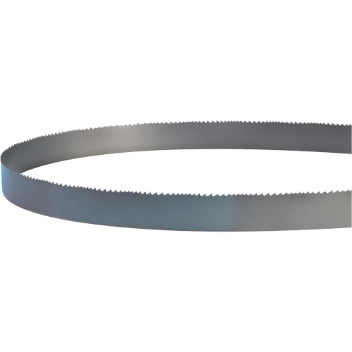 Welded Bandsaw Blade, Bi-Metal, 14' L x 1" W x 4 - 6 TPI Action Paper