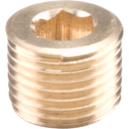 Pipe Plugs - Countersunk Hex, 1/8" Action Paper