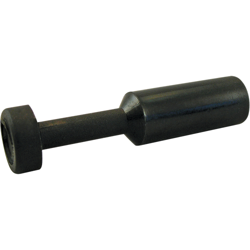 BOUCHON P.T.C. Action Paper