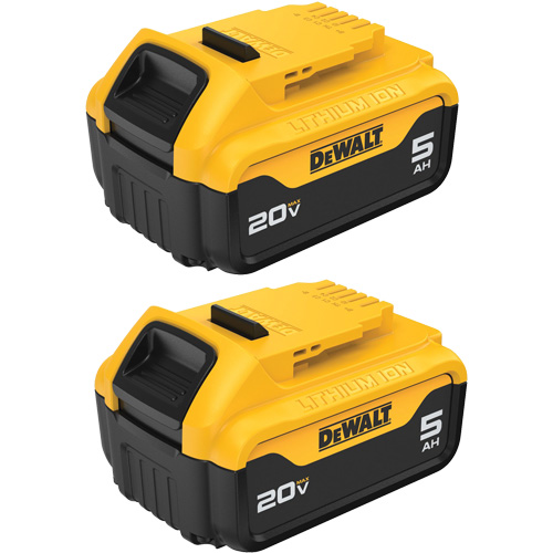 Bloc-piles Max XR Premium, Lithium-ion, 20 V, 5 A Action Paper