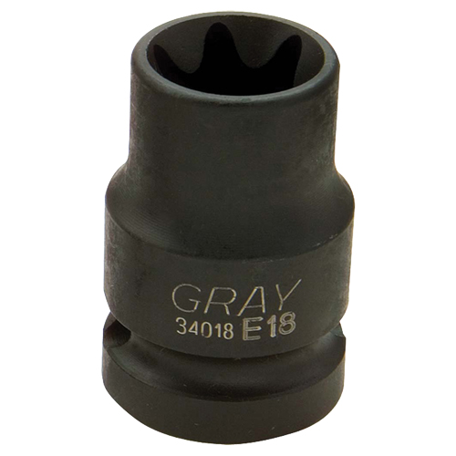 Douille Torx, 1/2", Prise 1/2", 6 pans Action Paper