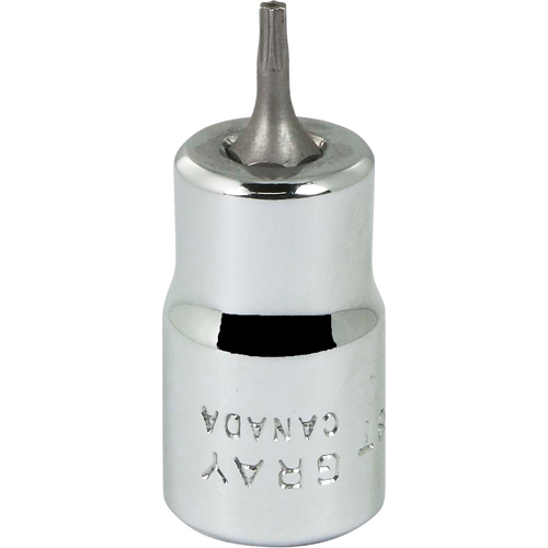 Douille &agrave; embout, Torx, T8 x 2-1/8" lo, Prise 3/8" Action Paper
