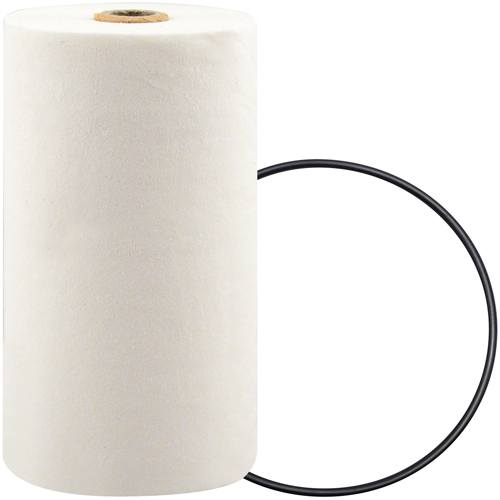 P7247 Spin-On Coolant Filter with BTE Formula Action Paper