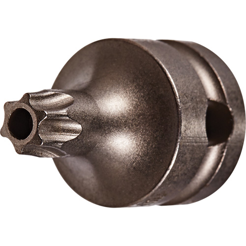 Embout &agrave; ins&eacute;rer, Torx inviolable, 25 x 1" lo, Prise 3/8" Action Paper