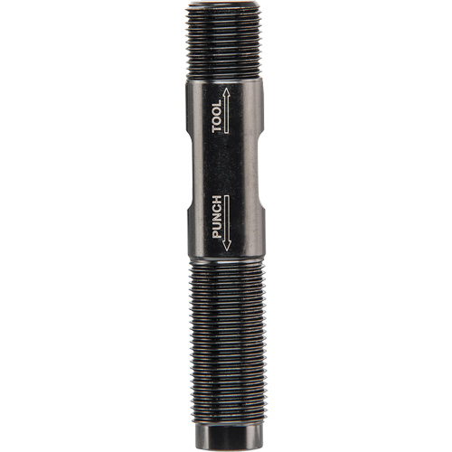 Draw Stud Action Paper