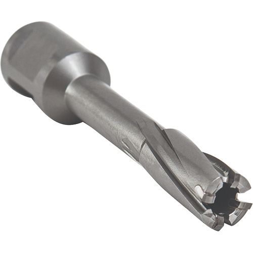 Core Cut Annular Cutter with Weldon Shank, 12 mm Diameter, Carbide, 55 mm Depth of Cut, 3/4" Shank Action Paper