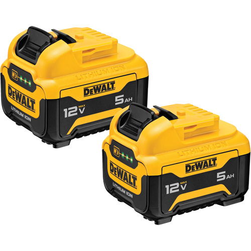 Bloc-piles Max*, Lithium-ion, 12 V, 5 Ah Action Paper