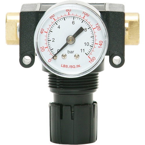 D&eacute;tendeur &agrave; piston en ac&eacute;tal MODULAIR 200, 1/4" NPT, PSI max. de 150 psi, Canalisation/Modulaire Action Paper