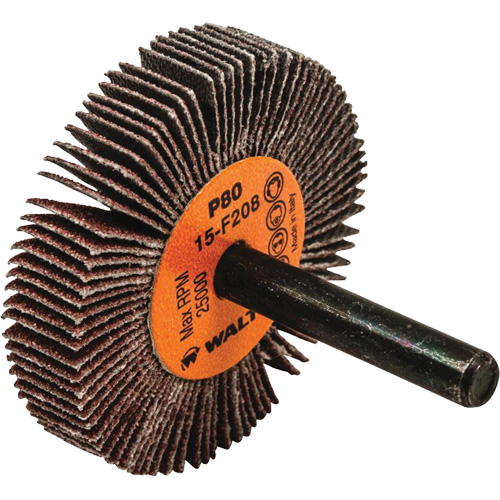 Disques &agrave; lamelles - Meules &agrave; lamelles Coolcut, Oxyde d'aluminium, Grain 80, 2" x 3/8" x 1/4" Action Paper