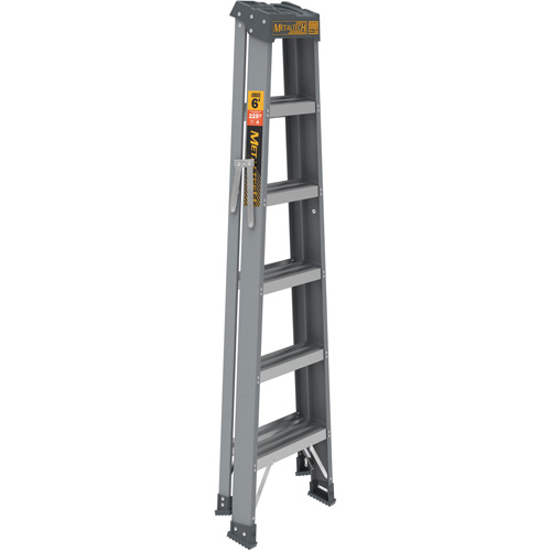 Step Ladder, 6', Fibreglass, 225 lbs. Capacity, Type 2 Action Paper