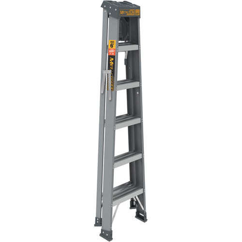Step Ladder with Paint Tray, 6', Fibreglass, 225 lbs. Capacity, Type 2 Action Paper