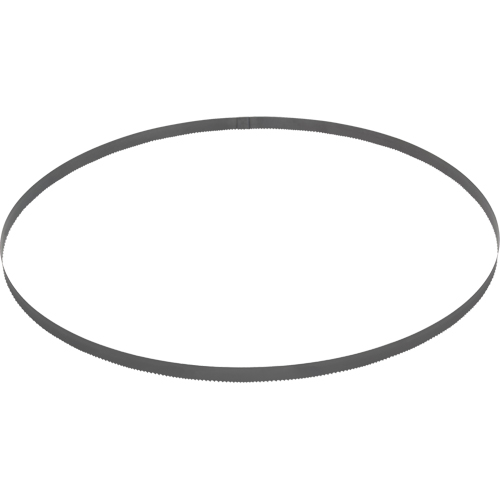 Lame de scie &agrave; ruban , Bim&eacute;tal, 44-7/8" lo x 1/2" la x &eacute;paisseur 0,020", 14 dents par pouce Action Paper