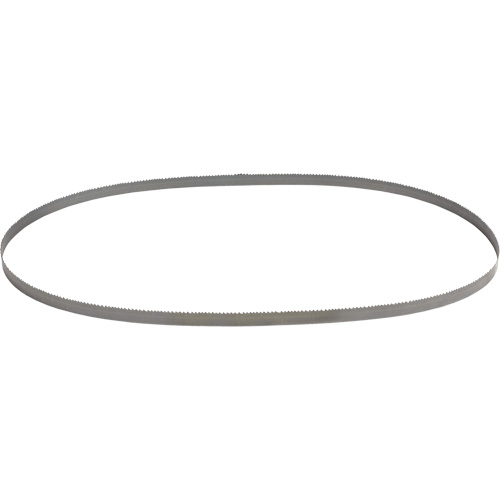 Lame de scie &agrave; ruban portable standard pour coupe profonde, Acier rapide, 44-7/8" lo x 1/2" la x &eacute;paisseur 0,2", 10/14 dents par pouce Action Paper