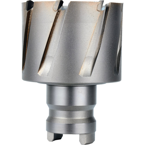 Fraise avec tenon &agrave; changement rapide Drive Hawg, Diam&egrave;tre de 2", Acier, Profondeur de la coupe de 1" Action Paper