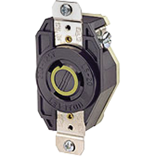 Single Flush 2-Pole 3-Wire Grounding  Receptacle Action Paper