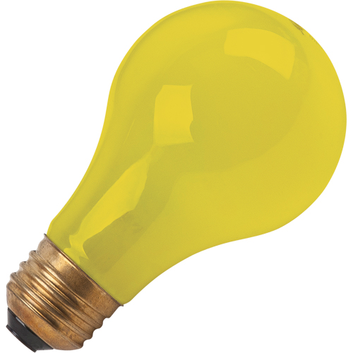 LAMPE INCANDESCENTE,BUG-LITE,60W,120V,2/PQT Action Paper
