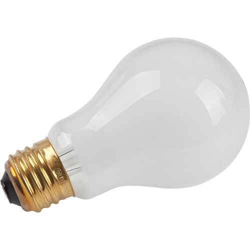 Economy Line Incandescent Lamps Action Paper
