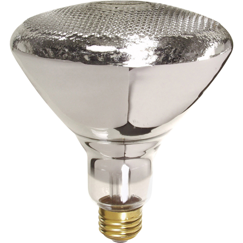 Economy Line Incandescent Lamps Action Paper