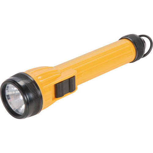 Lampe de poche AFL100, DEL, 28 lumens, Piles AA Action Paper